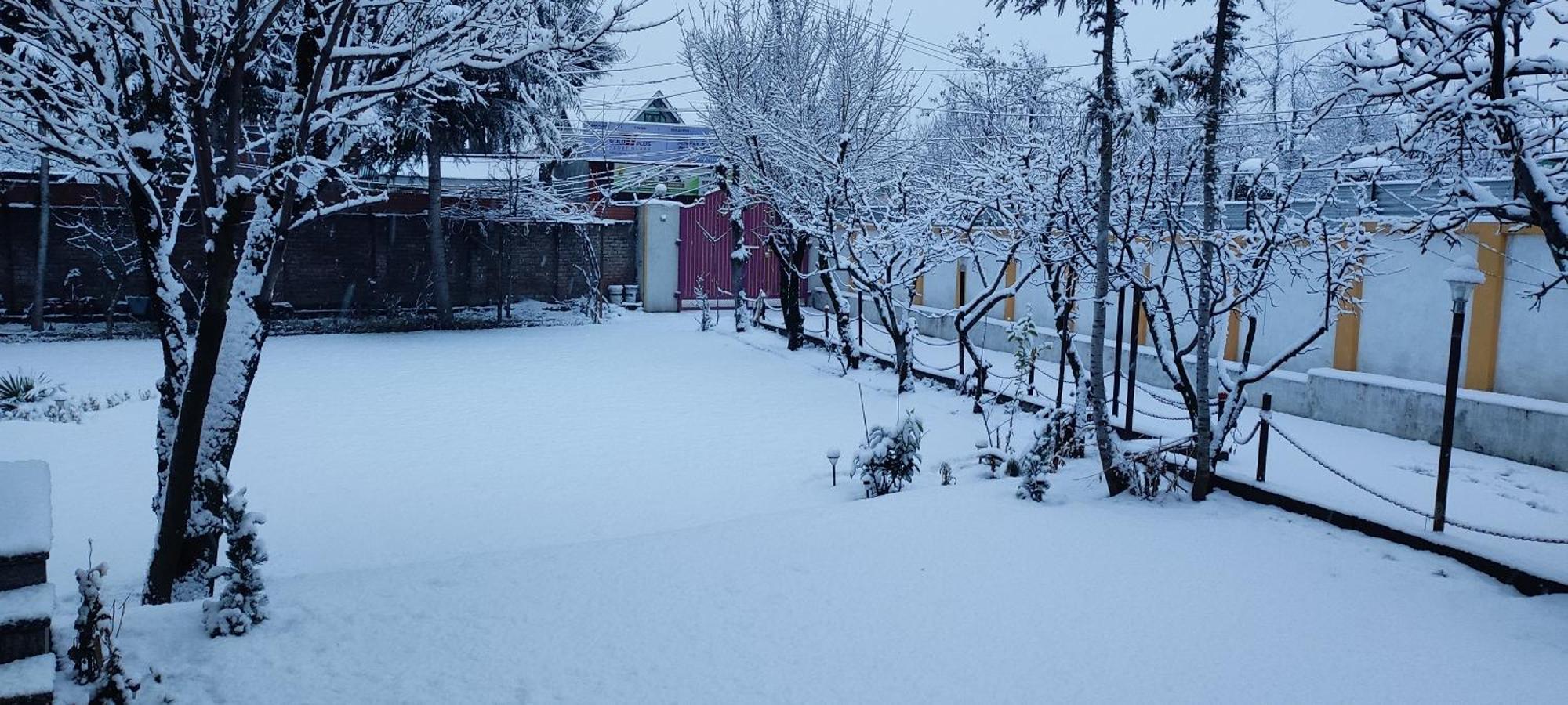 The Clover Inn Srinagar  Bagian luar foto