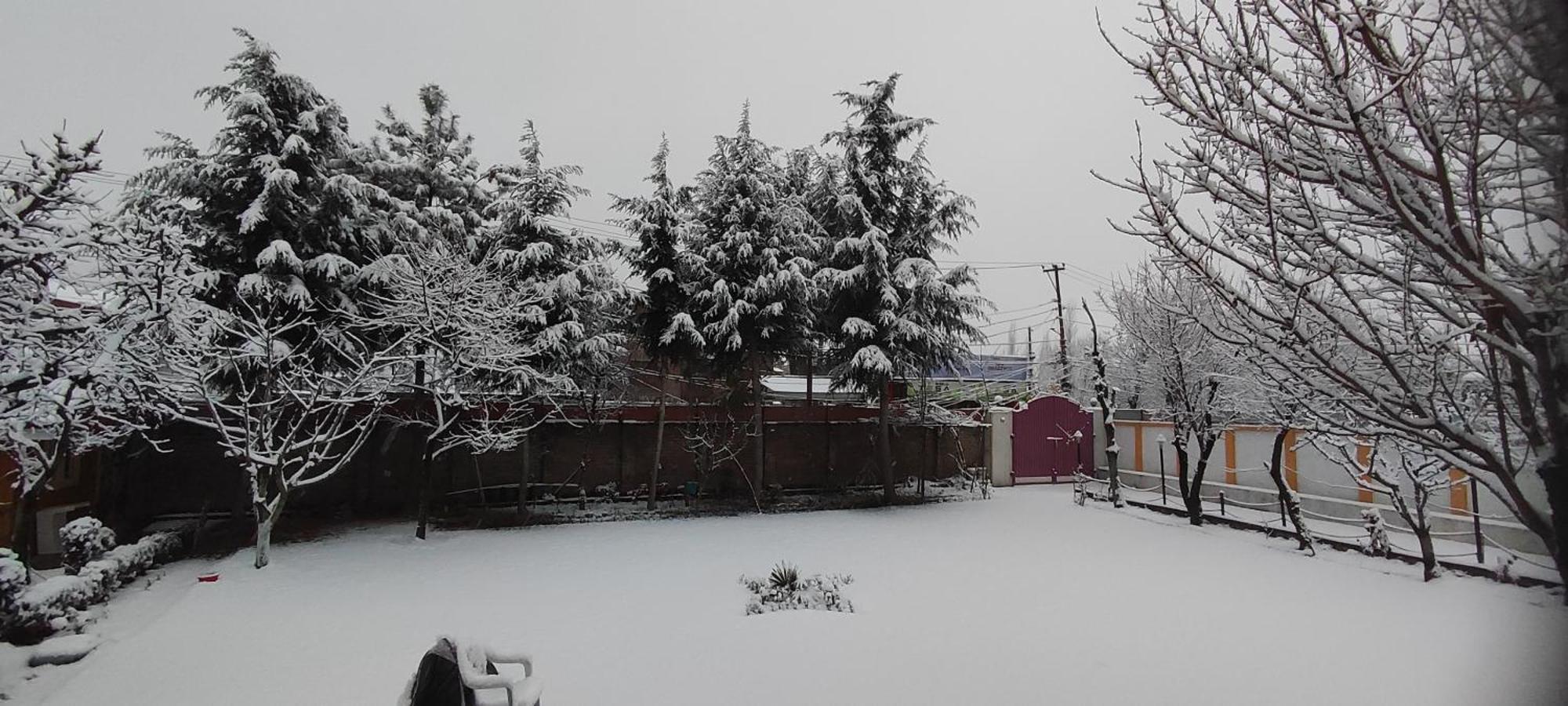 The Clover Inn Srinagar  Bagian luar foto