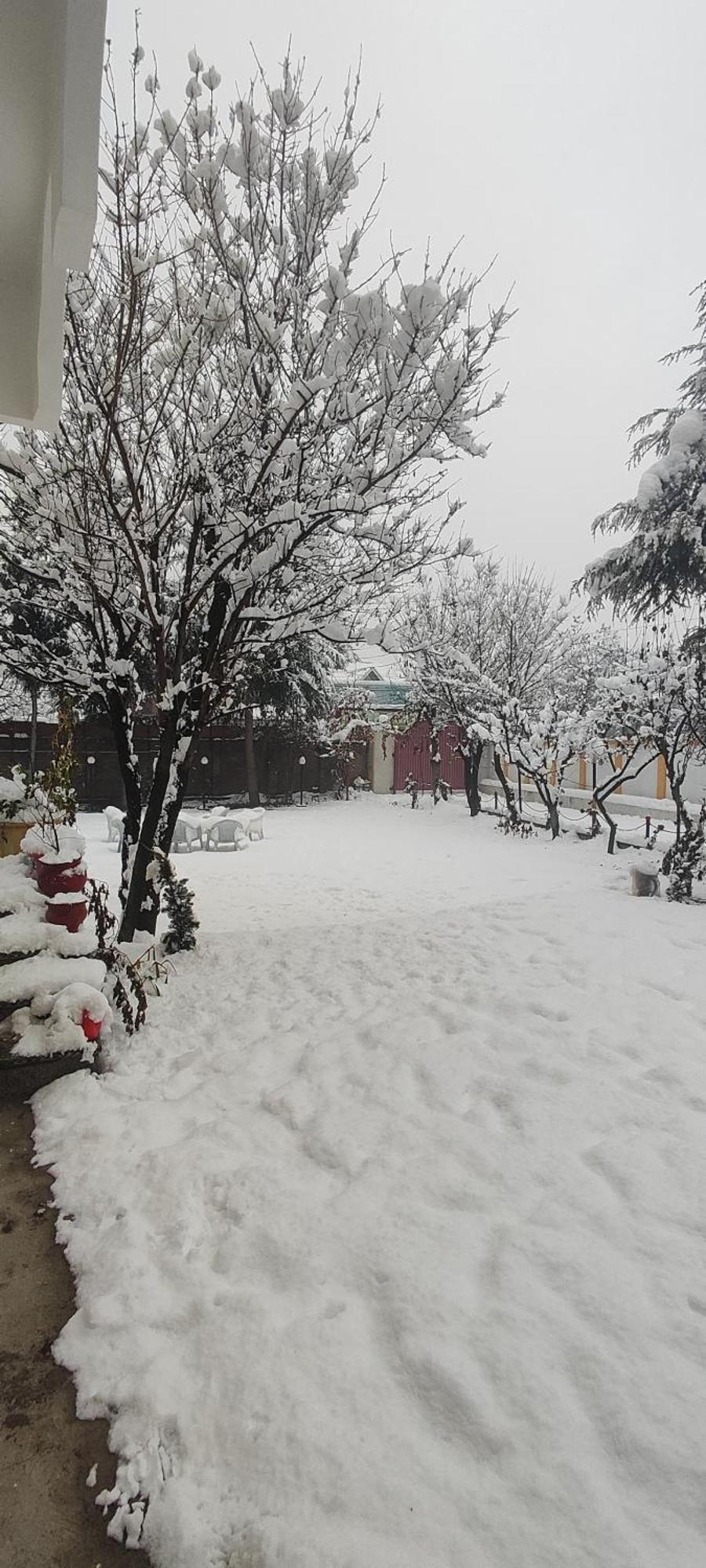 The Clover Inn Srinagar  Bagian luar foto